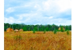 «Пряники» - тихий и уютный дачный поселок эконом-класса в 93 км от МКАД.