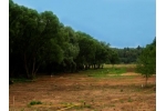 Коттеджный посёлок «Сказочный лес» находится в 67 километрах от МКАД по Симферопольскому шоссе в сосновом бору на берегу реки Нара